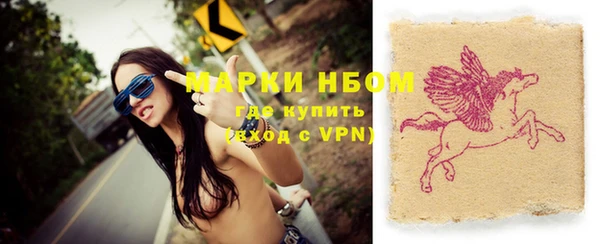 индика Зеленодольск