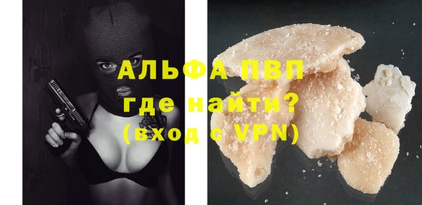 индика Зеленодольск