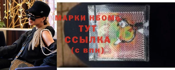 индика Зеленодольск