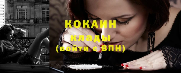 индика Зеленодольск