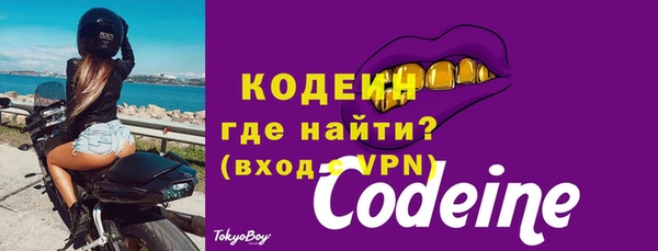 индика Зеленодольск