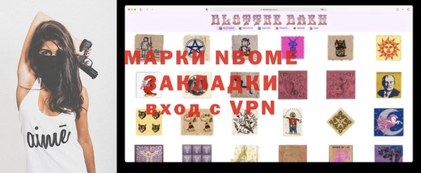 индика Зеленодольск