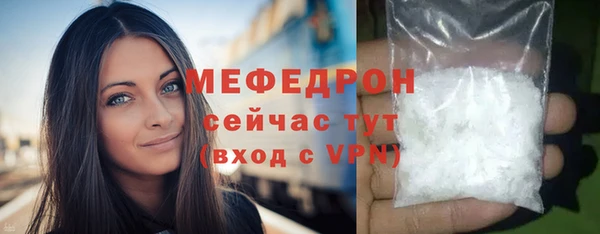 индика Зеленодольск