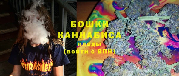 индика Зеленодольск