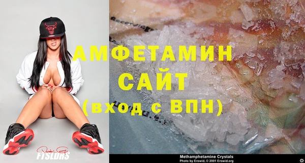 индика Зеленодольск