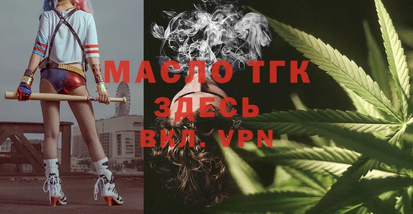 индика Зеленодольск