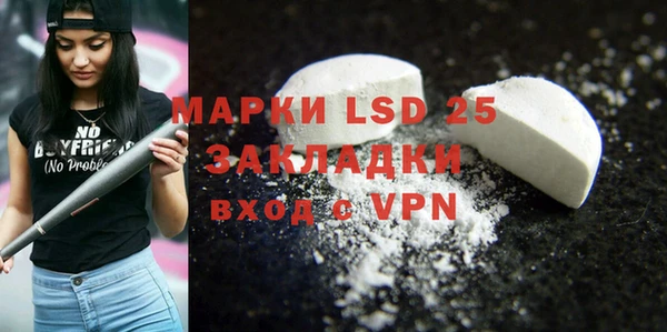 индика Зеленодольск