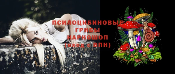 индика Зеленодольск