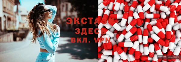 индика Зеленодольск