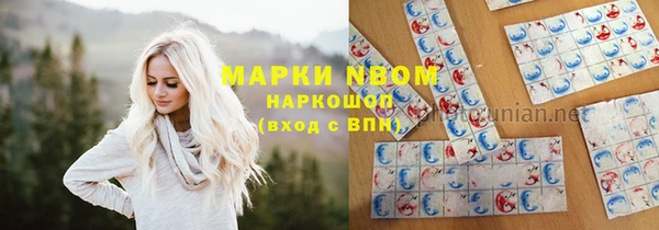 индика Зеленодольск
