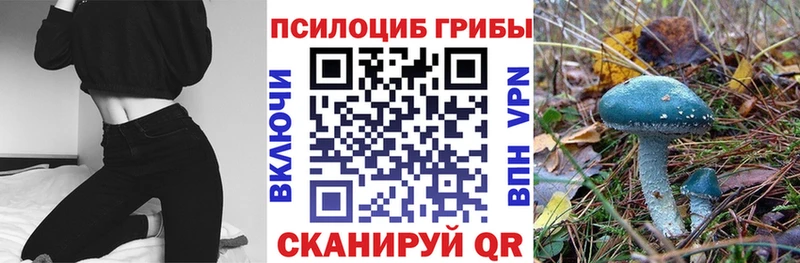 Галлюциногенные грибы мухоморы  Купить  Злынка 